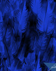 Feather Wallpaper Dark Blue Luxury Wall Decor